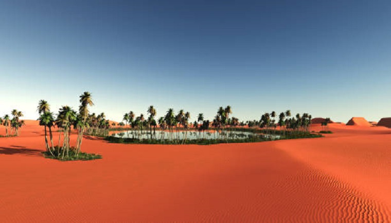 oasis panoramic in desert